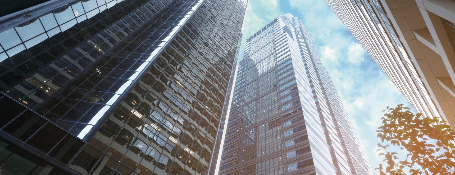 AdobeStock_460154484
