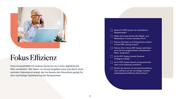 ERP Checkliste Effizienz Preview
